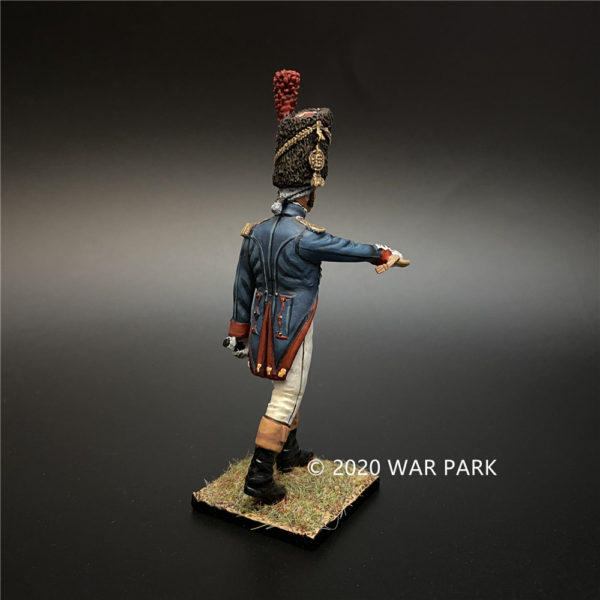 NP001 Old Guard Grenadier Officer - Image 5