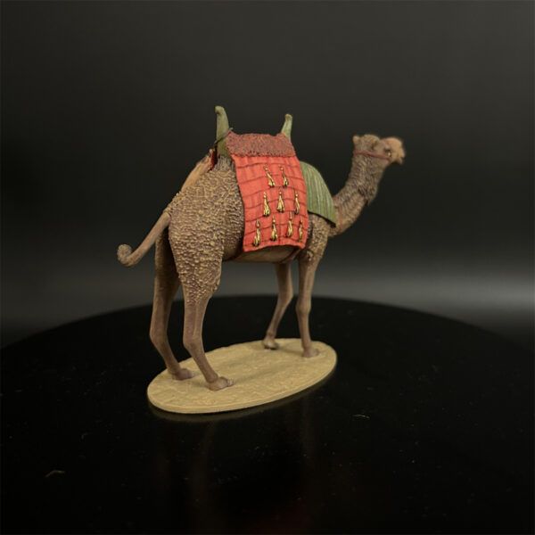 CI004 North African Dromedary Camel - Image 4