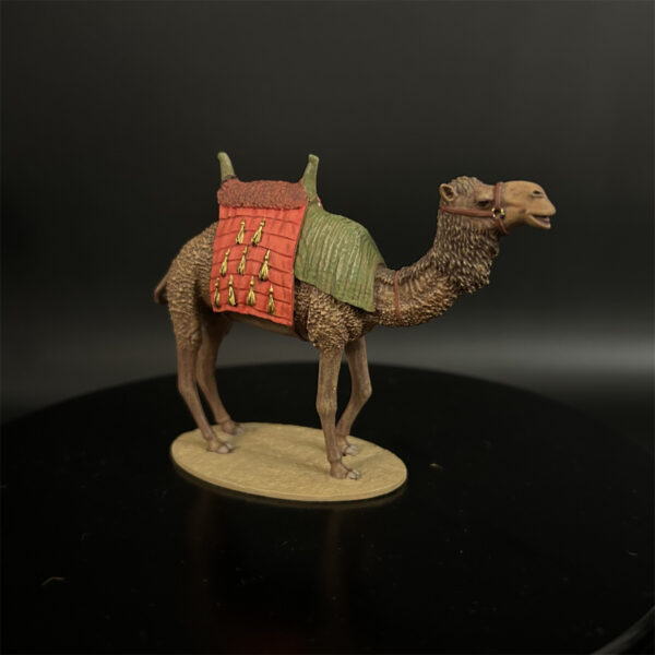 CI004 North African Dromedary Camel - Image 3