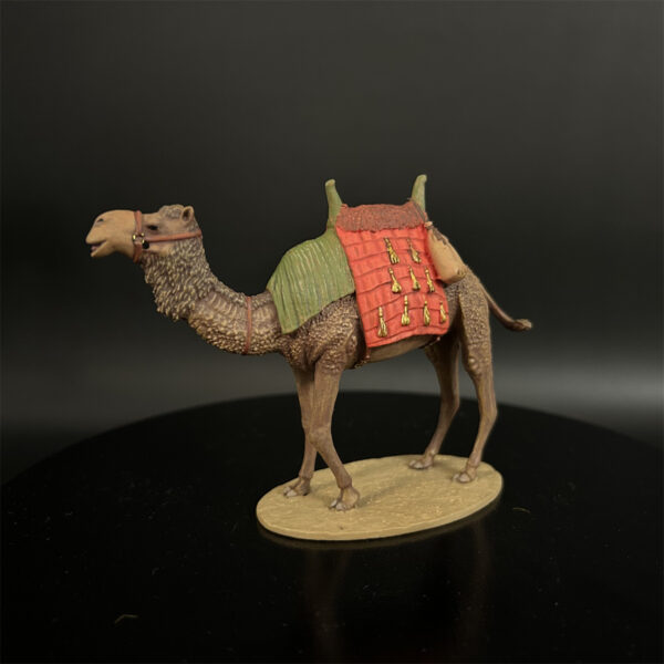 CI004 North African Dromedary Camel - Image 2