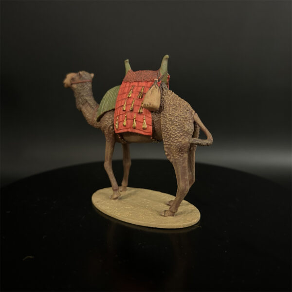 CI004 North African Dromedary Camel