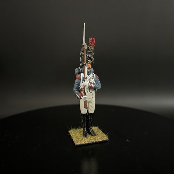 NP012 Old Guard Grenadier Standing on Parade - Image 4